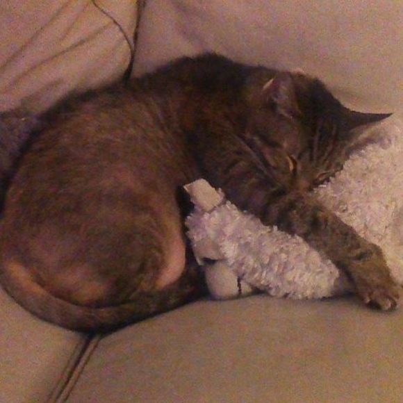 Meet your Posher, Matthew - Picture 1 of 1